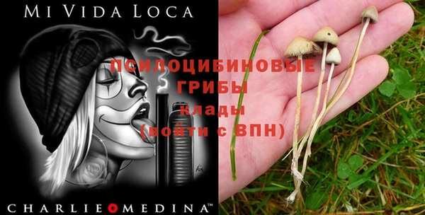 MDMA Абинск